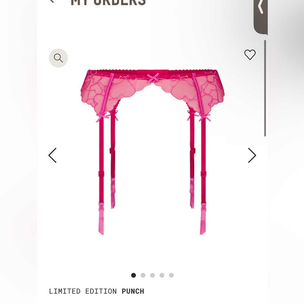 EMBROIDERED TULLE GARTER BELT